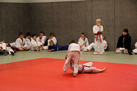 Võru maakonna noorte lahtised MV judos. 1.12.2013 Võru Spordikeskuses